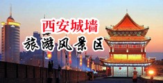少妇喜欢大鸡吧插阴道特黄视频中国陕西-西安城墙旅游风景区